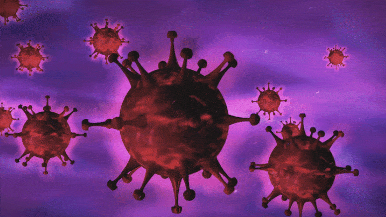 Coronavirus-Pandemic.gif