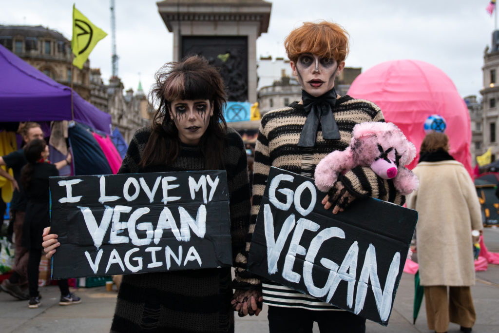 scaredy_cat_extinction_rebellion-1024x683.jpg