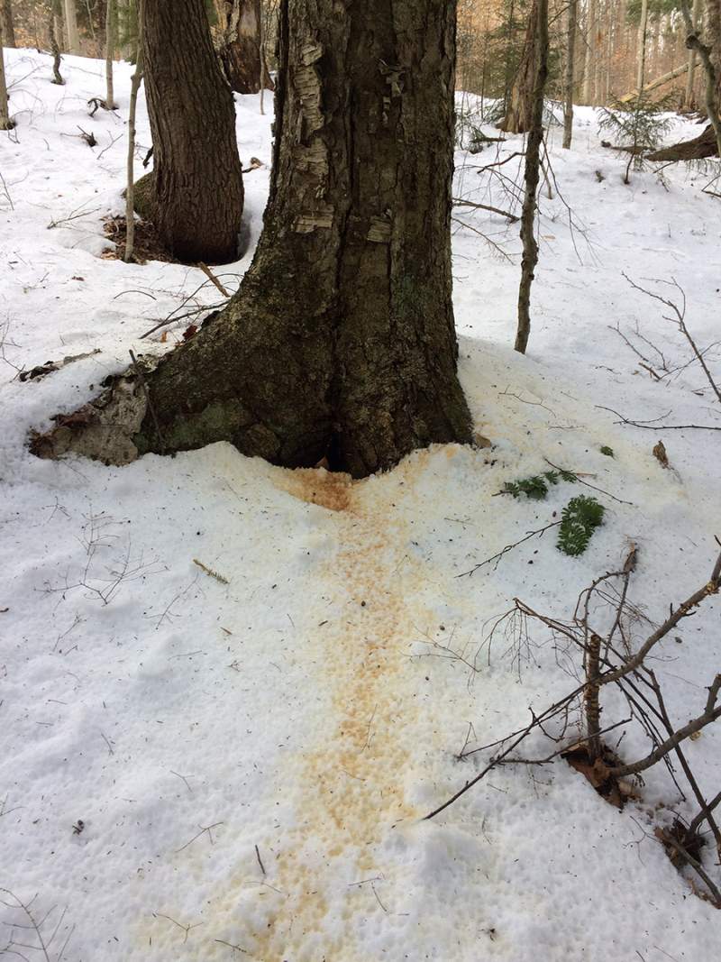 WITWIT-12-20-2019_800_1067_65.jpg