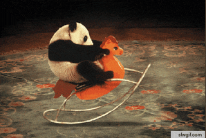 panda GIF