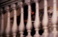 tumblr_mmnh91qhpe1rxam8fo3_250.gif