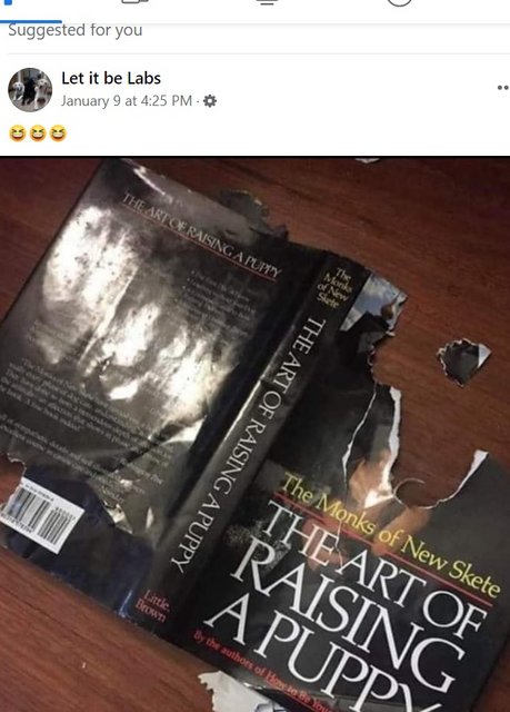 fuckyoufacebook.jpg