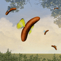 animation flying GIF by Kajetan Obarski