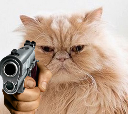 ViTl5tk.jpg