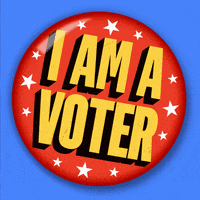Voting Election 2020 GIF by INTO ACTION