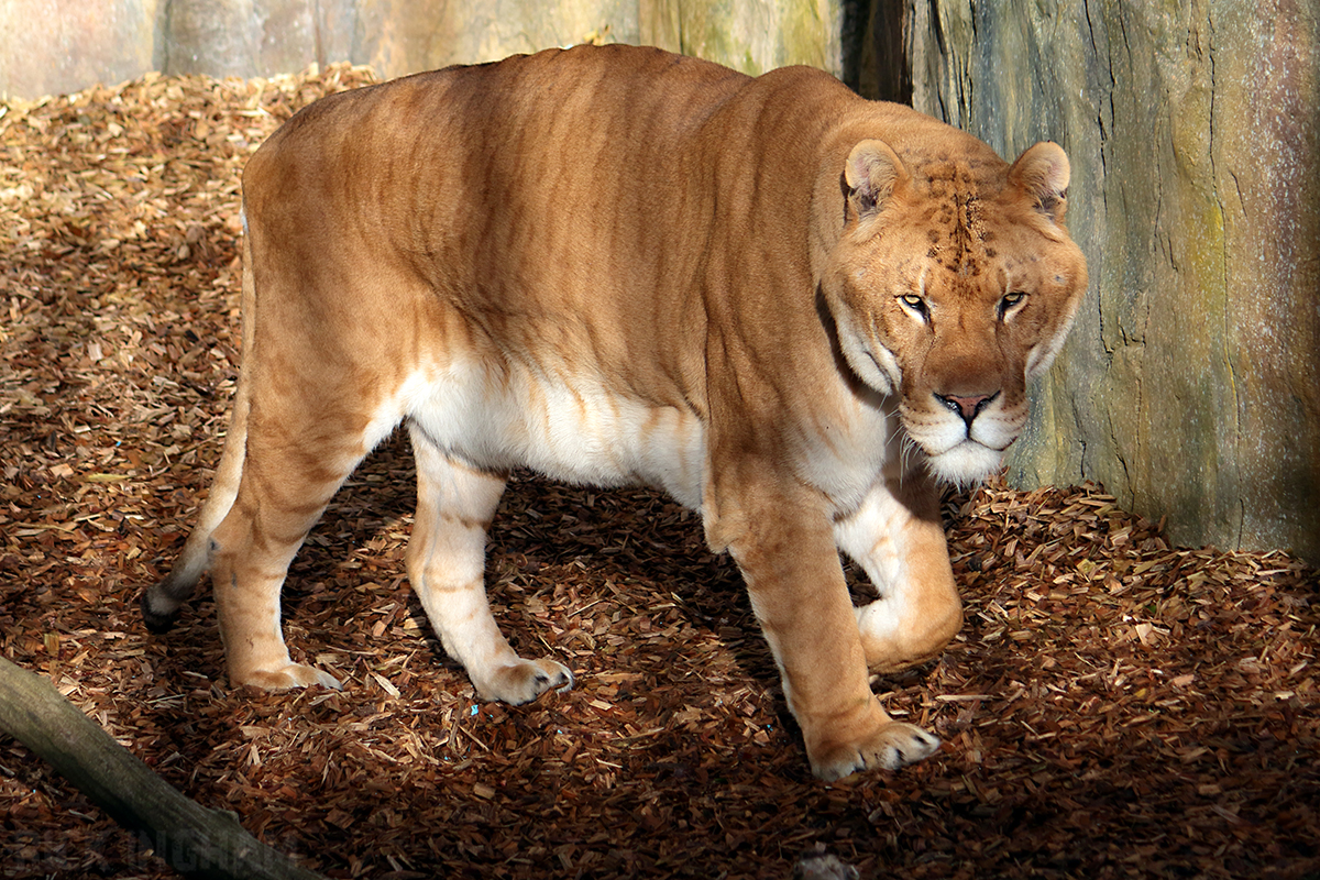 4C7A7258.jpg
