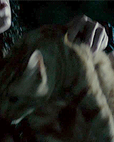 tumblr_noxeu4bXQk1qdhps7o1_250.gif