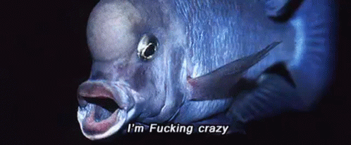 i-am-fucking-crazy-but-i-am-free.gif