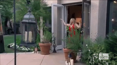 giphy.gif