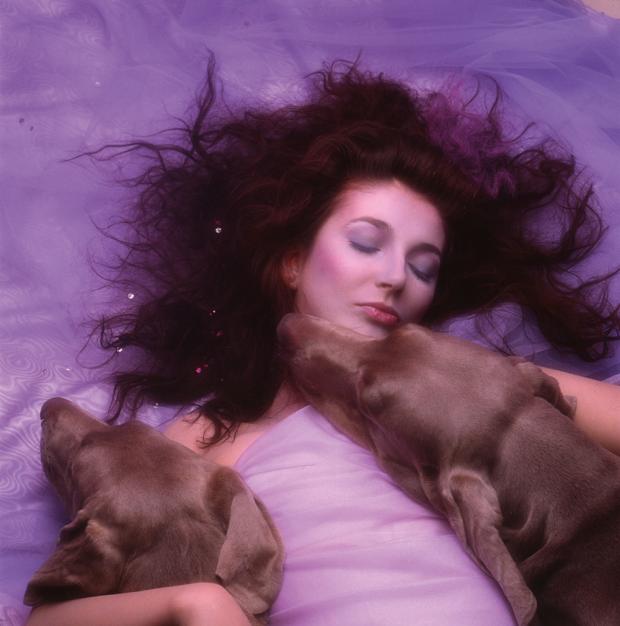 kate-bush-heardle.glitch.me