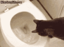 what-is-that-it-looks-scary.gif