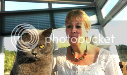 evilcat.jpg