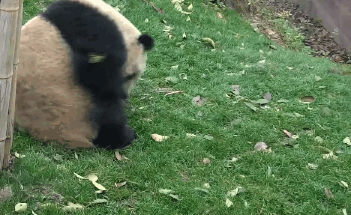 zqK.gif