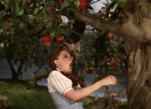 wizard-of-oz-dorothy.gif