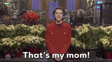 Timothee Chalamet Snl GIF by Saturday Night Live