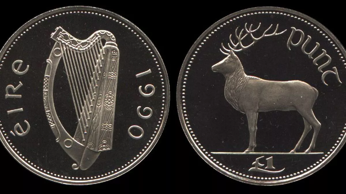 People with old Irish pounds at home could be in for big payday as millions  yet to be changed to euros - Irish Mirror Online
