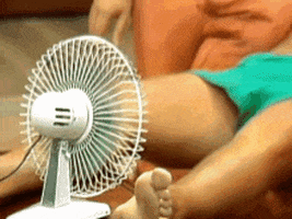 Fan Reaction GIF by MOODMAN