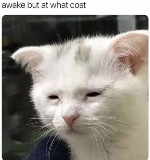 mA6hGFk.jpg