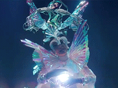00-promo-bjork.gif
