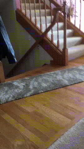 tumblr_pm82drj4Lg1wohnyh_400.gif