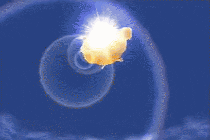 CompleteShabbyDwarfrabbit-size_restricted.gif