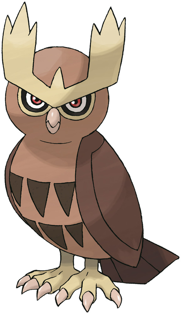 noctowl.jpg