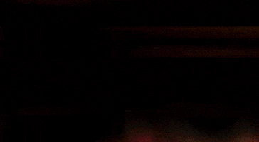 kung fu horror GIF by Shudder