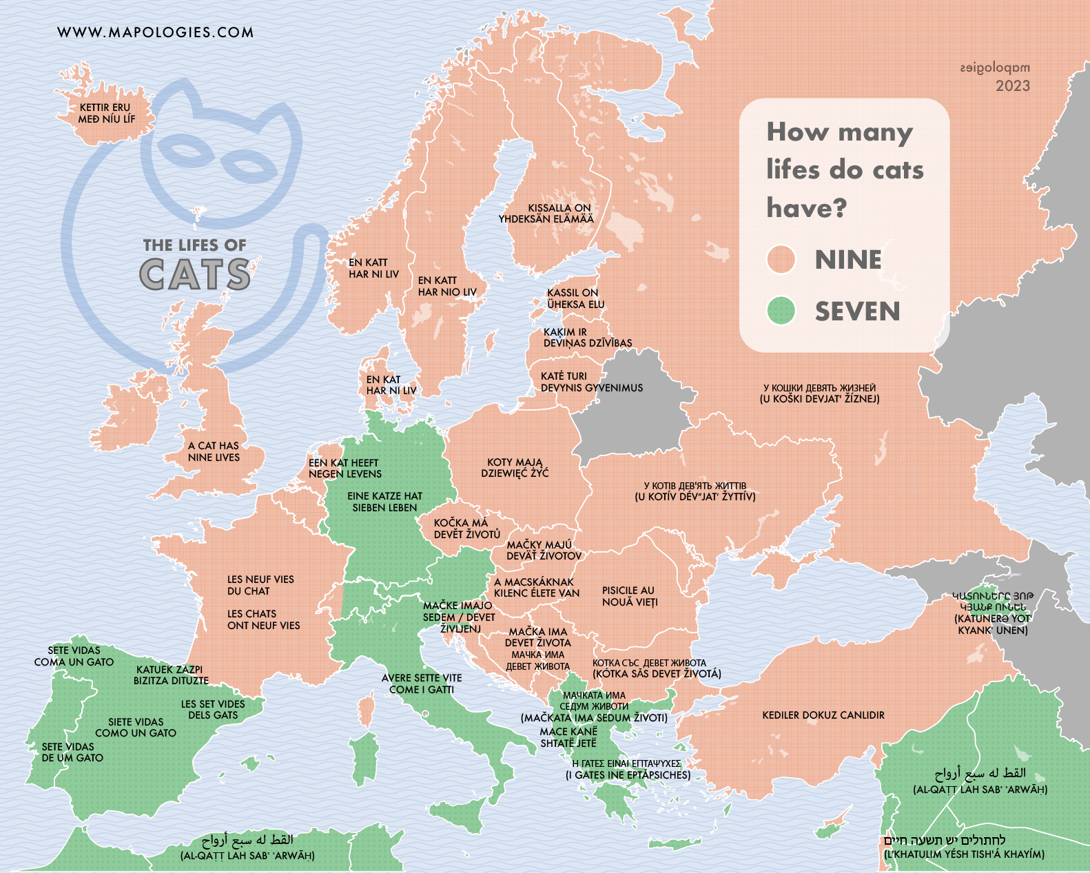 CATLIFE-01-1.png