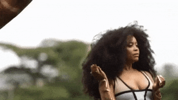 erykah badu giraffe GIF