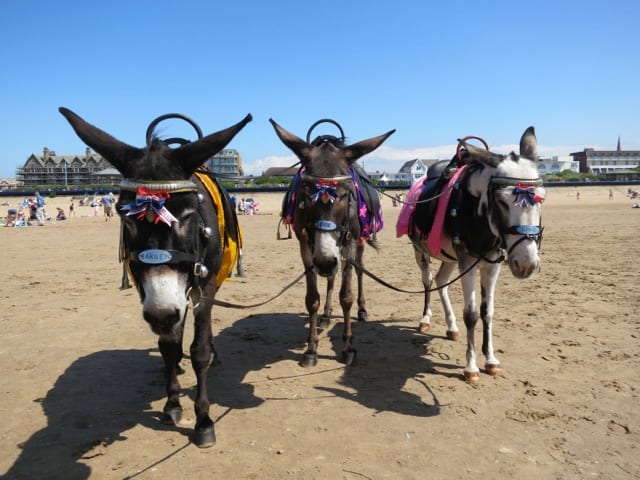 donkeys-st-annes-Steve-Ingham.jpeg
