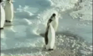 b7fea89ce0ade1d992a94dba6d23f790.gif