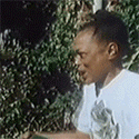 tumblr_phwvuqzNtg1xmo1c7o1_250.gif
