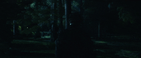 Michael Myers GIF by Halloween