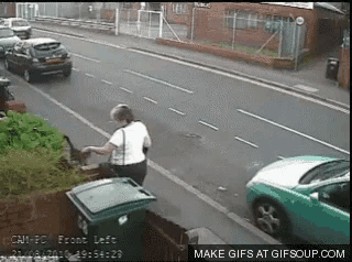 cat-bin.gif