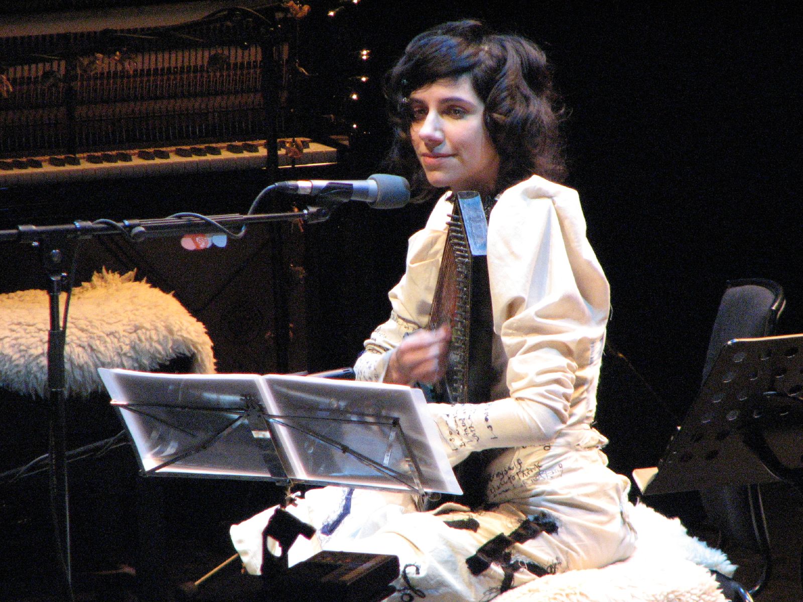 PJ_Harvey_in_2007.jpg