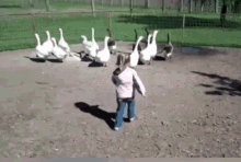 birds-kid.gif