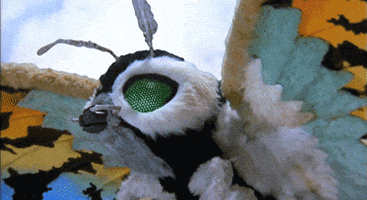 toho studios kaiju GIF