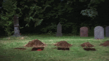 aae7b04ebd255cb1352532cd79e972af.gif