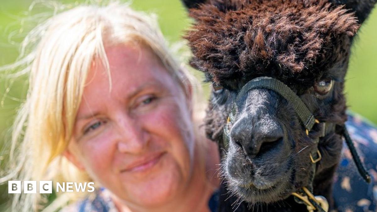 www.bbc.co.uk