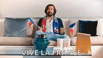 france-world-cup.gif
