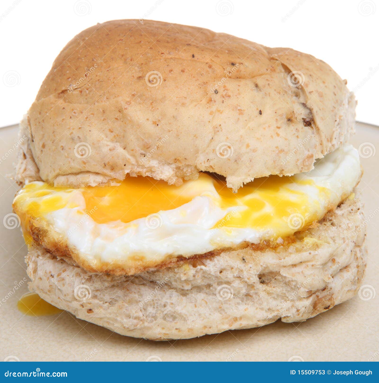 fried-egg-roll-15509753.jpg