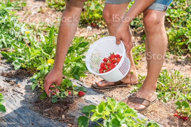 istockphoto-1092195252-2048x2048.jpg