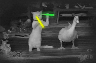 c8abb8a84ee2b5c3bbcd49a944f7a68b.gif