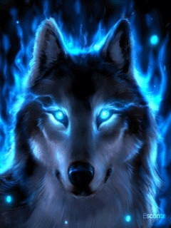 0e4c389aec36bd73880cd4c187839141.gif