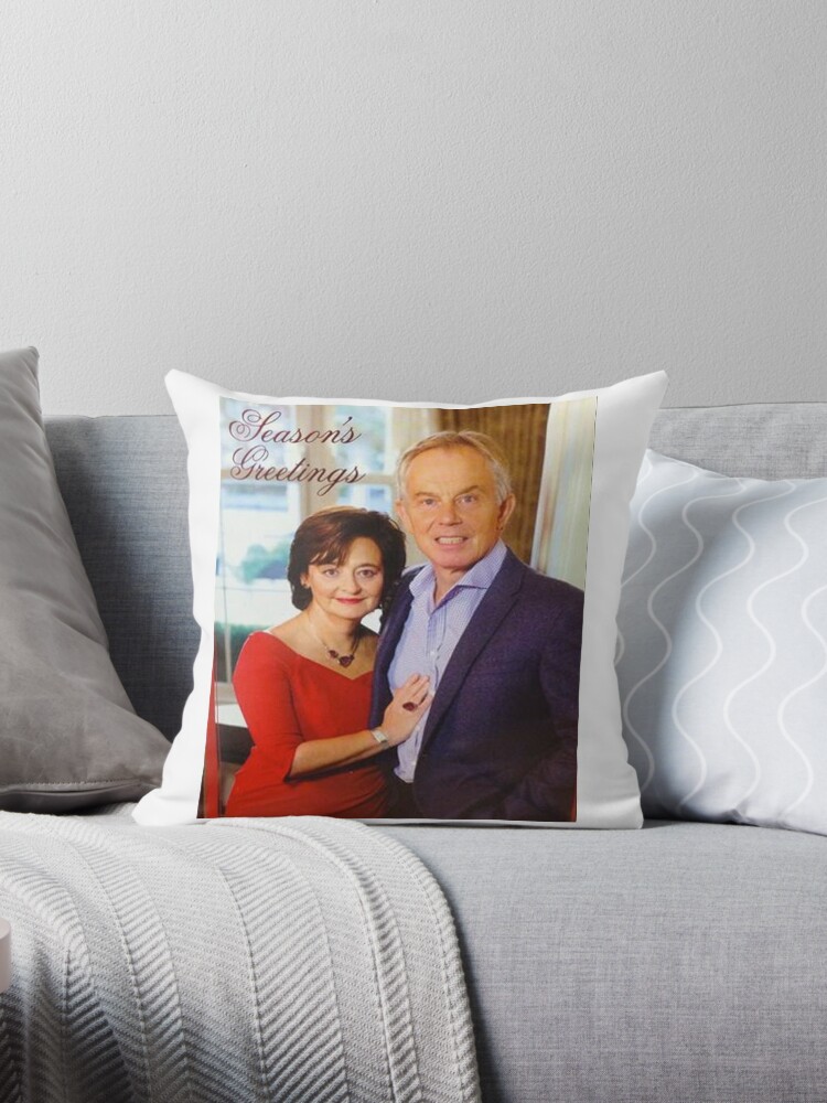 throwpillow,small,750x1000-bg,f8f8f8.jpg