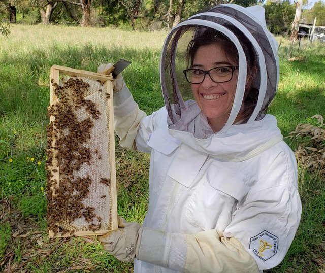 Dani-Beekeeping-1.jpg