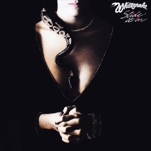Slide_It_In_%28Whitesnake_album_-_cover_art%29.jpg