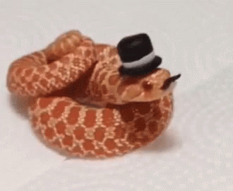 snake-gentleman.gif