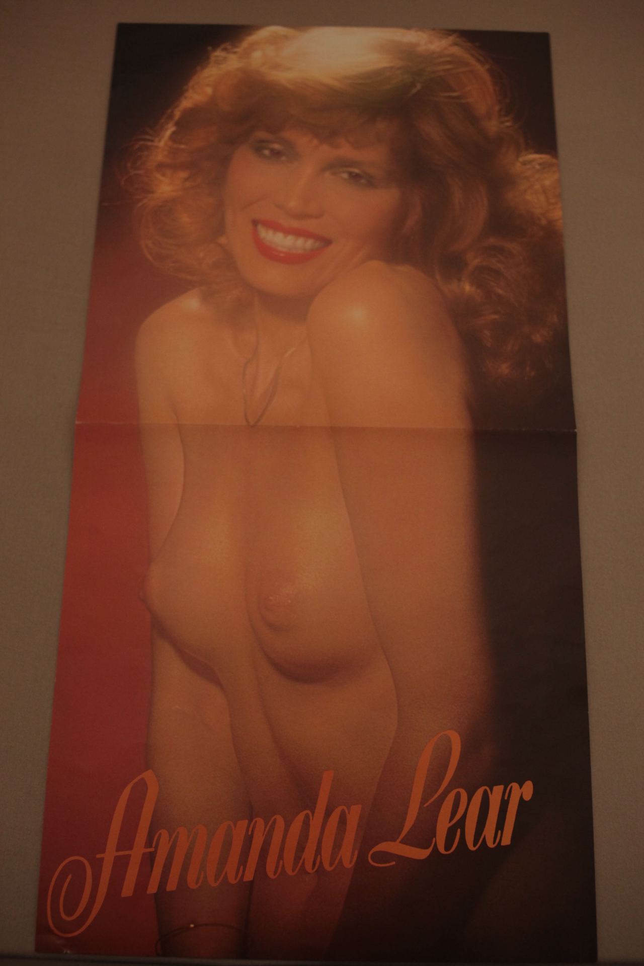 amanda-lear-poster_623508.jpg