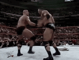 Steve Austin Sport GIF by WWE